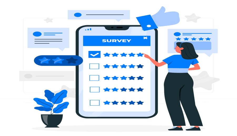 Survey report